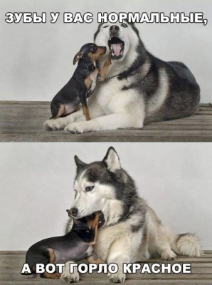 16.jpg (116.14 КБ) 3247 просмотров 16.jpg