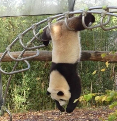 14.jpg (136.63 КБ) 3247 просмотров 14.jpg