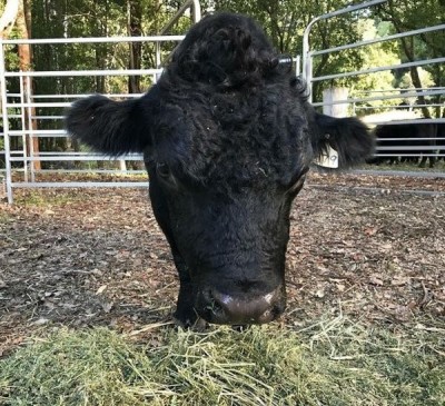 12.jpg (175.91 КБ) 3150 просмотров 12.jpg