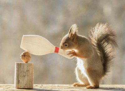 11.jpg (41.23 КБ) 3321 просмотр 11.jpg