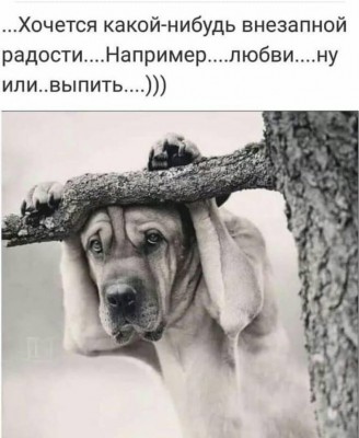 16.jpg (66.93 КБ) 2970 просмотров 16.jpg