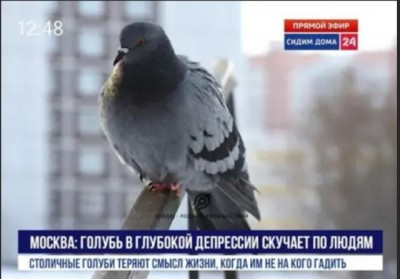 17.jpg (49.53 КБ) 2970 просмотров 17.jpg