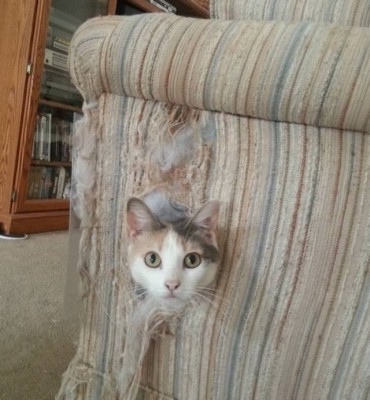 12.jpg (122.94 КБ) 2916 просмотров 12.jpg