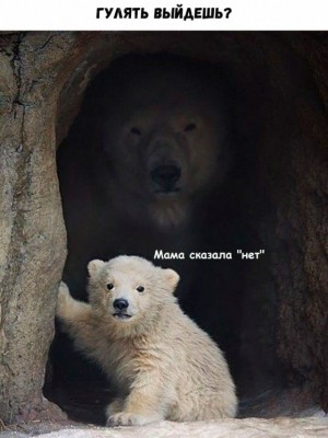 16.jpg (100.81 КБ) 2413 просмотров 16.jpg