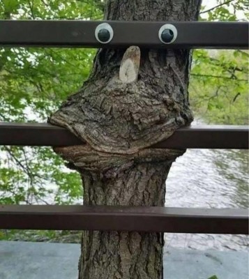 15.jpg (116.94 КБ) 2661 просмотр 15.jpg