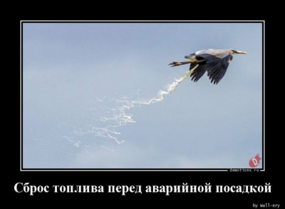 14.jpg (38.95 КБ) 2661 просмотр 14.jpg