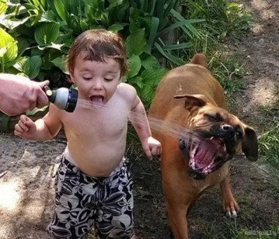 13.jpg (88.79 КБ) 2617 просмотров 13.jpg