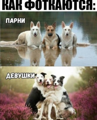 15.jpg (107.03 КБ) 2615 просмотров 15.jpg