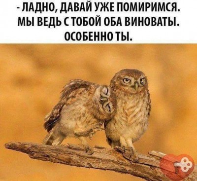 19.jpg (66.17 КБ) 2537 просмотров 19.jpg