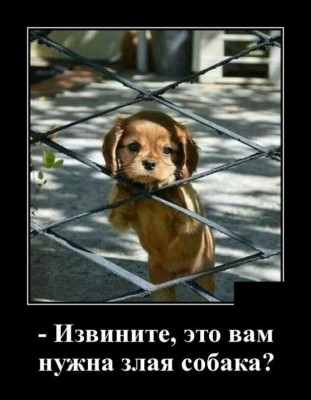 14.jpg (76.06 КБ) 2499 просмотров 14.jpg