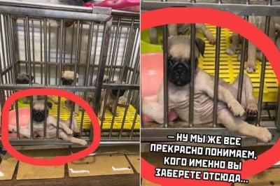 17.jpg (75.88 КБ) 3246 просмотров 17.jpg