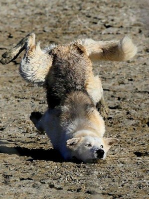 16.jpg (183.7 КБ) 3062 просмотра 16.jpg