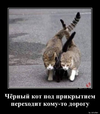 14.jpg (83.26 КБ) 3062 просмотра 14.jpg