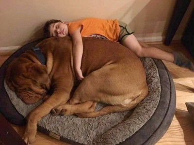 13.jpg (63.47 КБ) 2895 просмотров 13.jpg