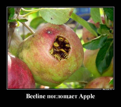 12.jpg (109.88 КБ) 3194 просмотра 12.jpg