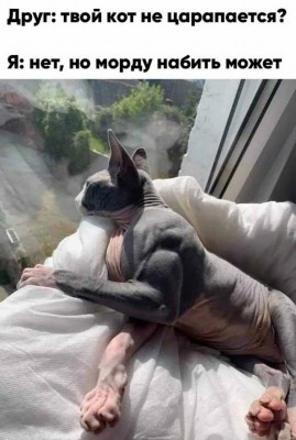 16.jpg (113.38 КБ) 3167 просмотров 16.jpg