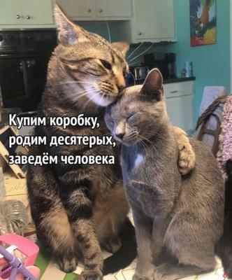 16.jpg (145.59 КБ) 3026 просмотров 16.jpg