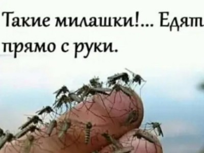 13.jpg (32.1 КБ) 3033 просмотра 13.jpg