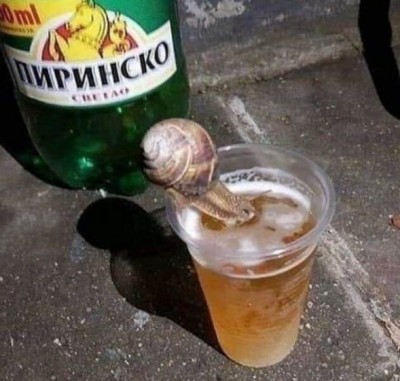 14.jpg (106.01 КБ) 2681 просмотр 14.jpg