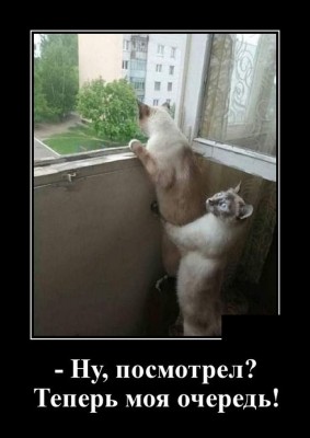 13.jpg (64.36 КБ) 2637 просмотров 13.jpg