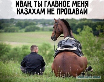 15.jpg (96.7 КБ) 2647 просмотров 15.jpg