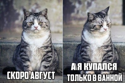 15.jpg (103.5 КБ) 2995 просмотров 15.jpg