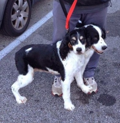 12.jpg (135.15 КБ) 2943 просмотра 12.jpg