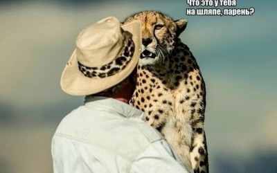 14.jpg (42.82 КБ) 2557 просмотров 14.jpg