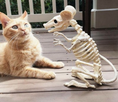 16.jpg (147.94 КБ) 2774 просмотра 16.jpg