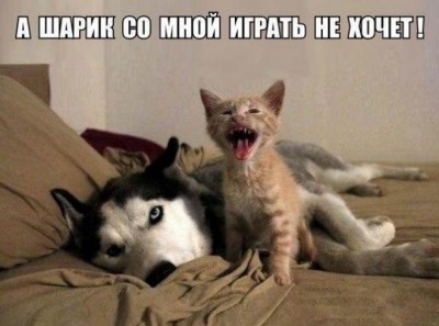 16.jpg (94.37 КБ) 2742 просмотра 16.jpg