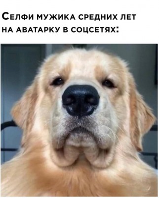 12.jpg (110.52 КБ) 2740 просмотров 12.jpg