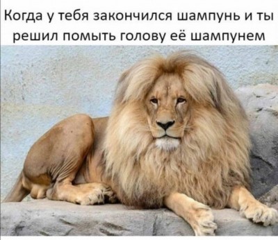 15.jpg (87.28 КБ) 2702 просмотра 15.jpg