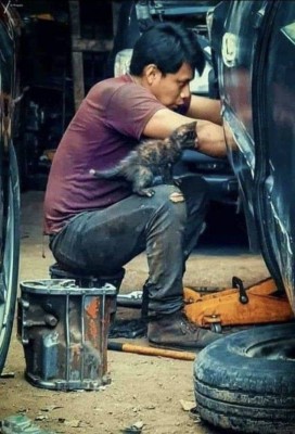 13.jpg (85.17 КБ) 2653 просмотра 13.jpg