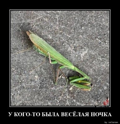 14.jpg (134.25 КБ) 2309 просмотров 14.jpg