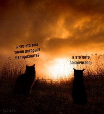 15.jpg (102.4 КБ) 2214 просмотров 15.jpg