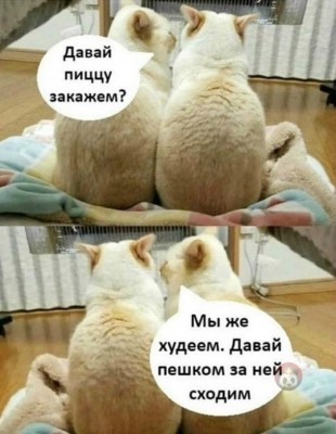 14.jpg (133.5 КБ) 2198 просмотров 14.jpg