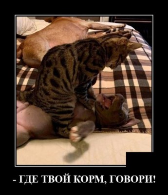 12.jpg (64.69 КБ) 2198 просмотров 12.jpg