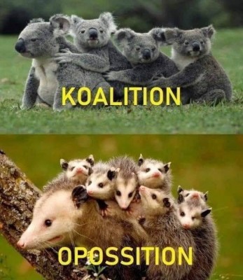 13.jpg (64.22 КБ) 2753 просмотра 13.jpg