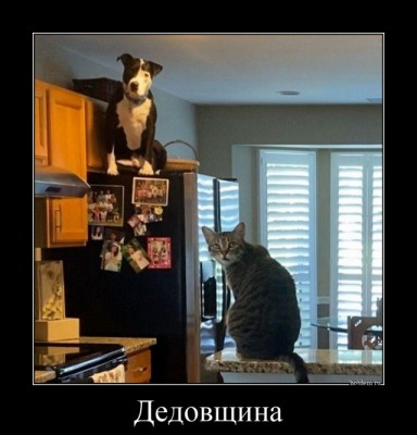 13.jpg (96.48 КБ) 2689 просмотров 13.jpg