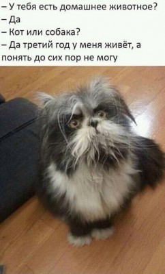 15.jpg (115.63 КБ) 2565 просмотров 15.jpg