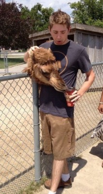 11.jpg (193.93 КБ) 2348 просмотров 11.jpg