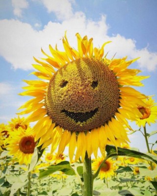 16.jpg (102.12 КБ) 2928 просмотров 16.jpg