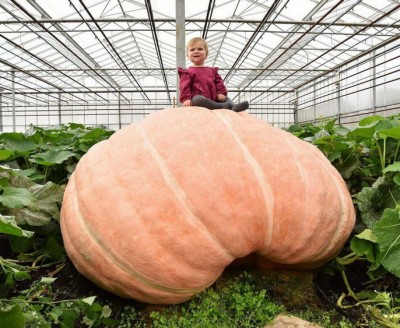 11.jpg (202.33 КБ) 2715 просмотров 11.jpg