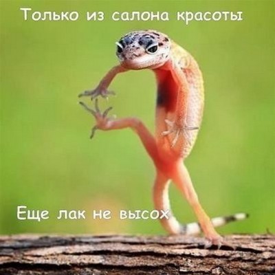 11.jpg (79.1 КБ) 2658 просмотров 11.jpg