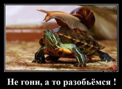 12.jpg (87.29 КБ) 2416 просмотров 12.jpg