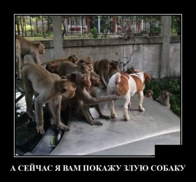 11.jpg (72.62 КБ) 2357 просмотров 11.jpg