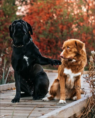 15.jpg (230.42 КБ) 2822 просмотра 15.jpg