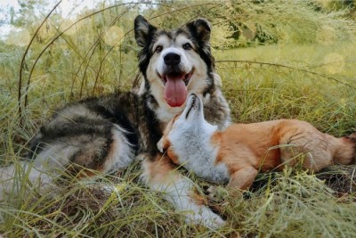 12.jpg (107.92 КБ) 2721 просмотр 12.jpg