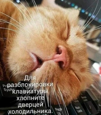 14.jpg (127.64 КБ) 2589 просмотров 14.jpg