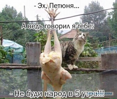 11.jpg (108.25 КБ) 2539 просмотров 11.jpg